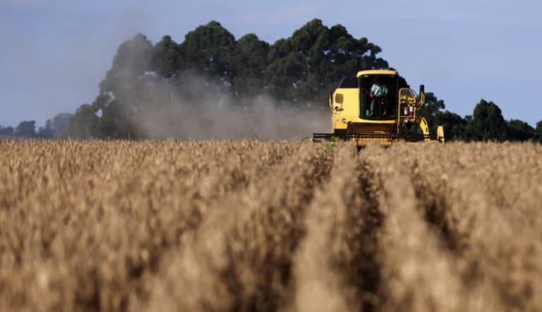 El precio de la soja llegó al nivel más alto del último año
